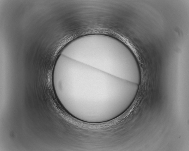 X0000113600010200909181119