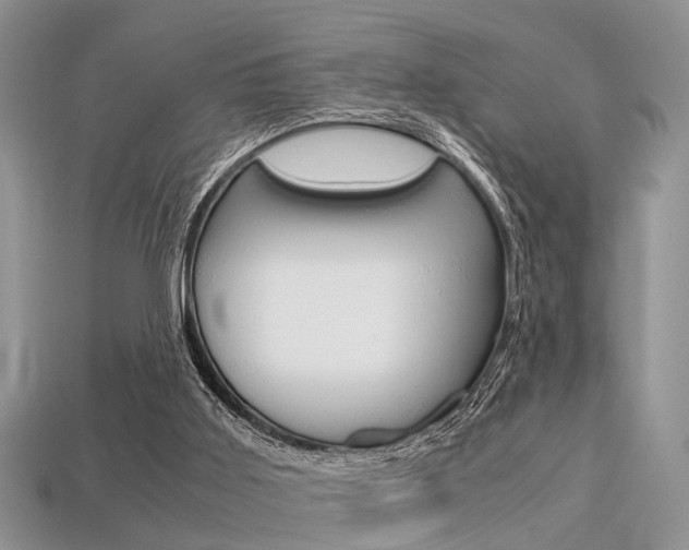 X0000113600011200909181119