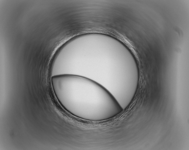 X0000113600012200909181119