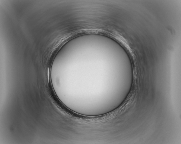 X0000113600013200909181119