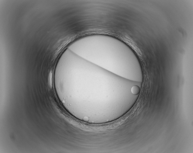 X0000113600014200909181118