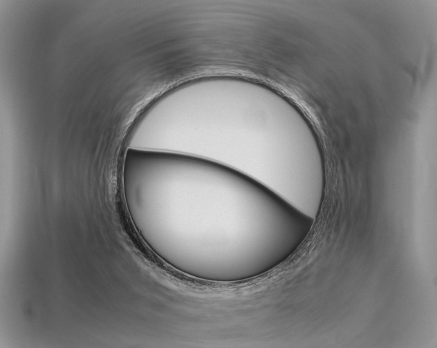 X0000113600015200909181118