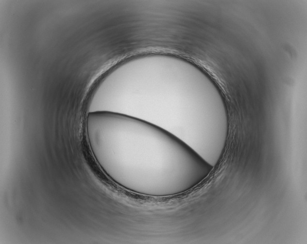 X0000113600016200909181118