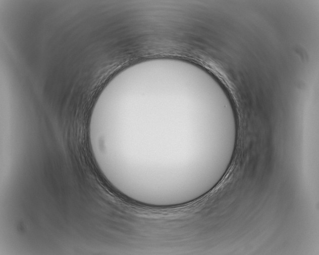 X0000113600017200909181118