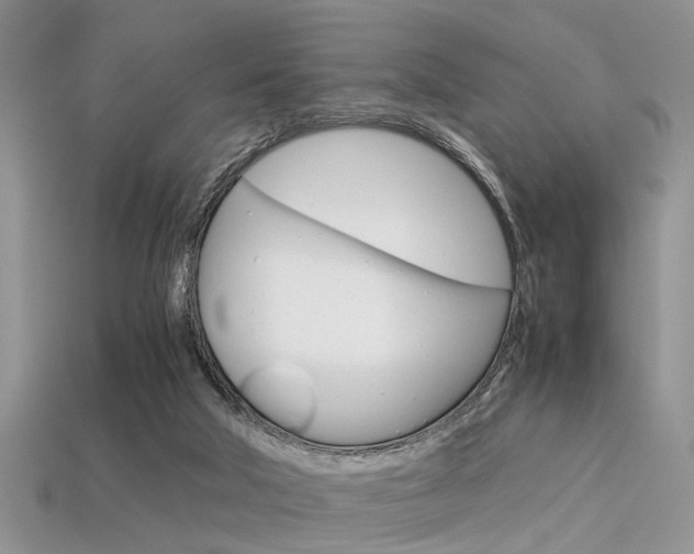 X0000113600018200909181118