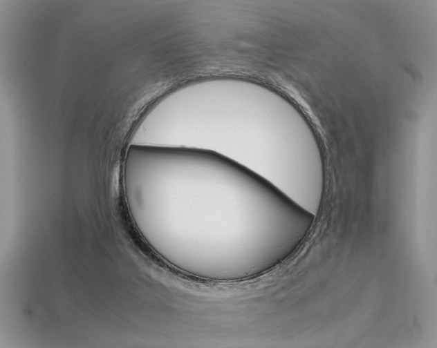 X0000113600019200909181118