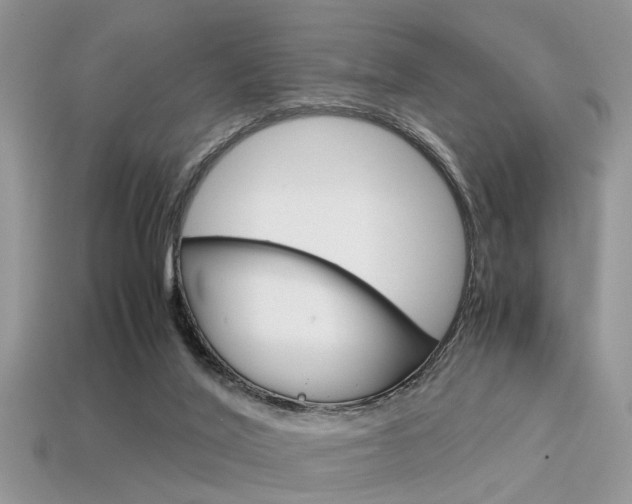 X0000113600020200909181118