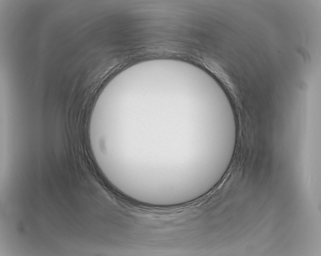 X0000113600021200909181118