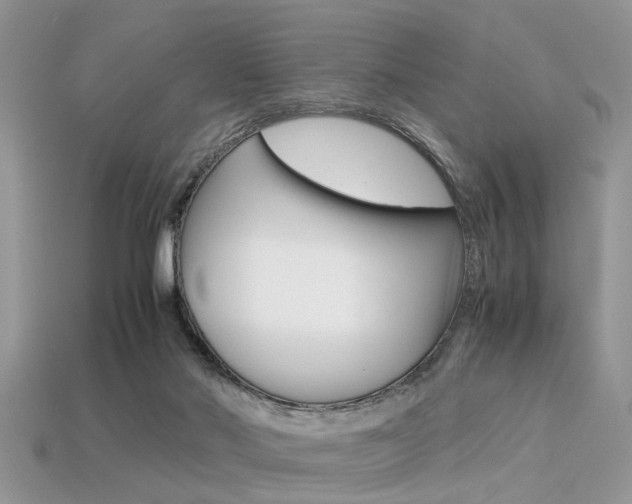 X0000113600022200909181118