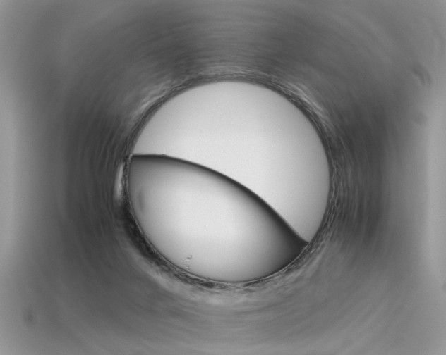 X0000113600024200909181118