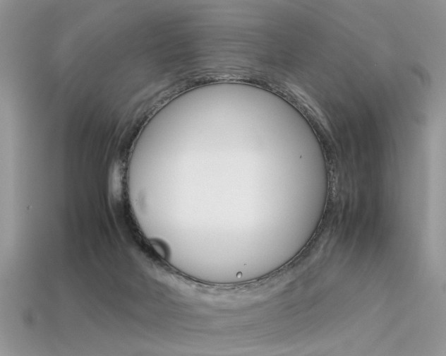 X0000113600026200909181118