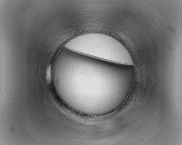 X0000113600028200909181118