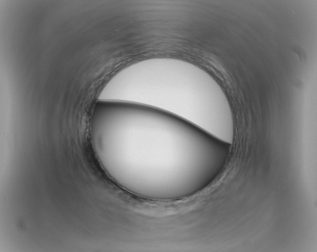 X0000113600029200909181118