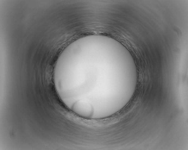 X0000113600030200909181118