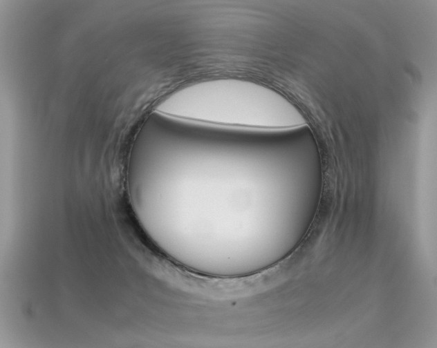 X0000113600031200909181118