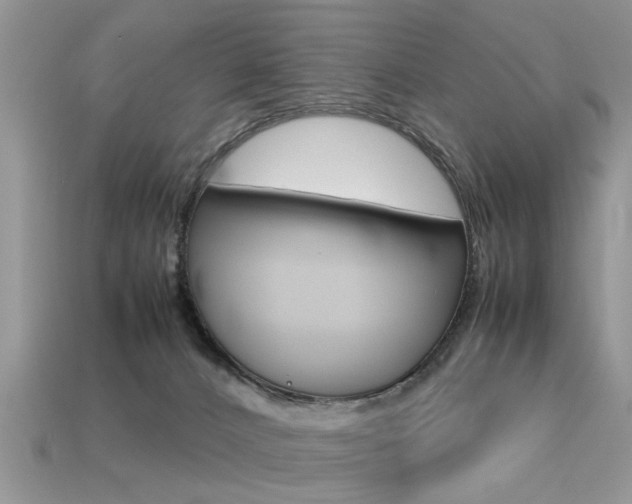 X0000113600032200909181118