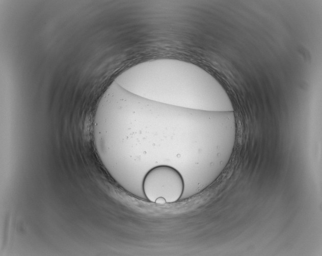 X0000113600034200909181118