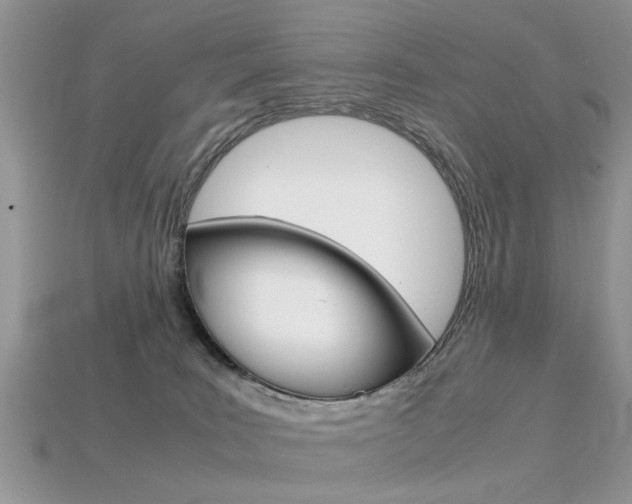 X0000113600035200909181118