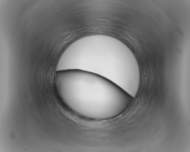 X0000113600036200909181118