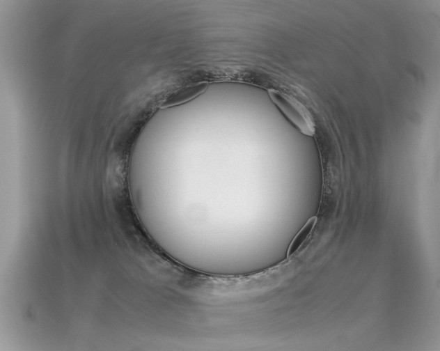 X0000113600037200909181118