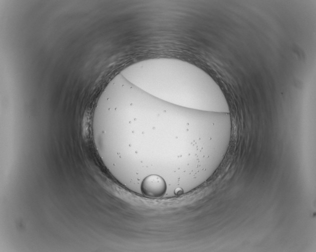 X0000113600038200909181118