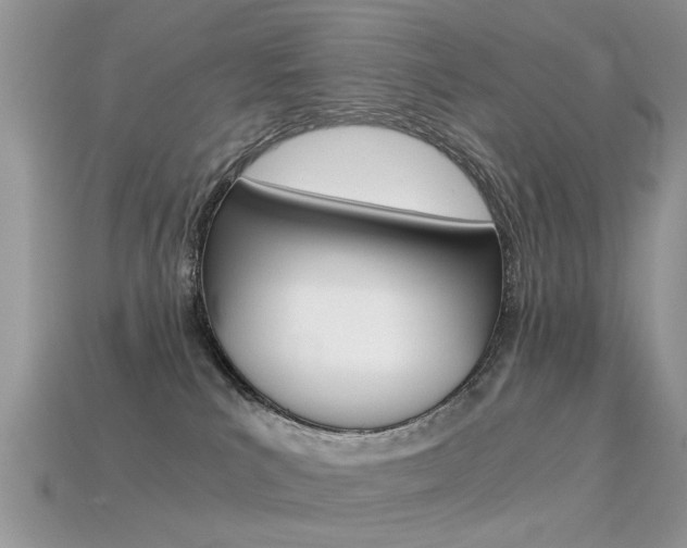 X0000113600039200909181118