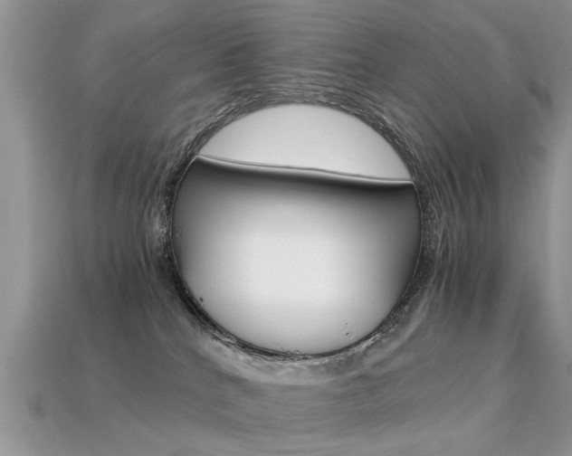 X0000113600040200909181118