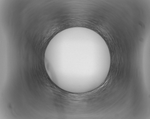 X0000113600041200909181118