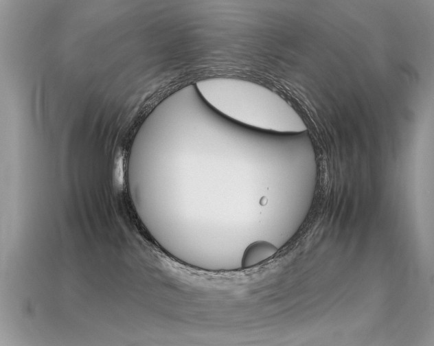 X0000113600042200909181118