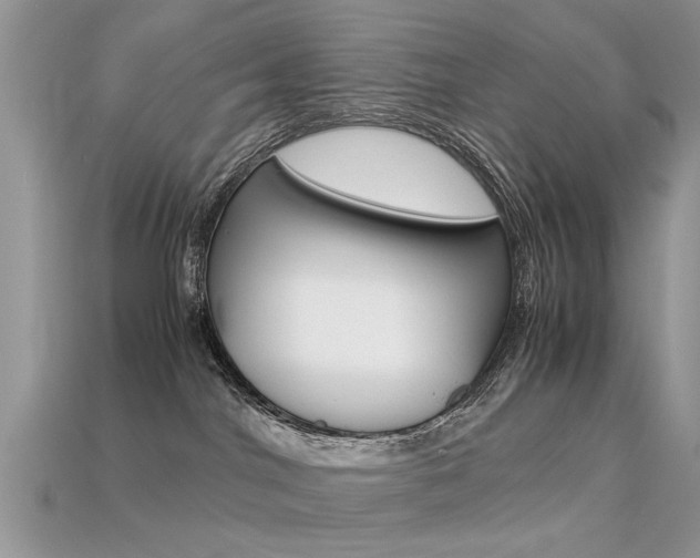 X0000113600044200909181118