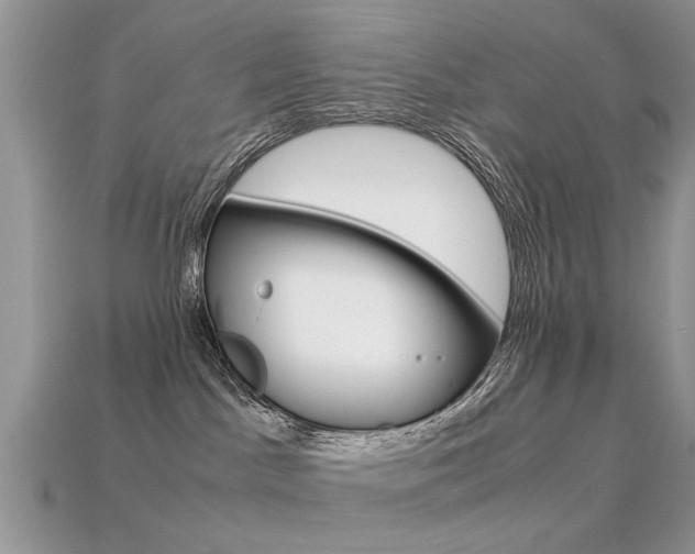 X0000113600045200909181118