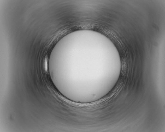 X0000113600046200909181118