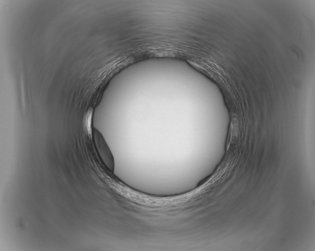 X0000113600047200909181118