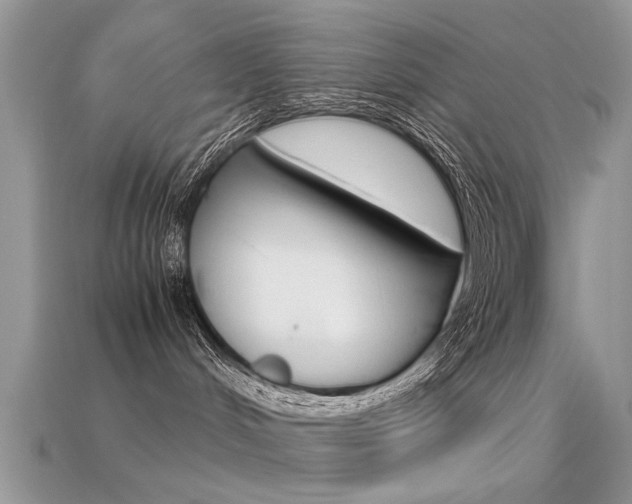 X0000113600048200909181118