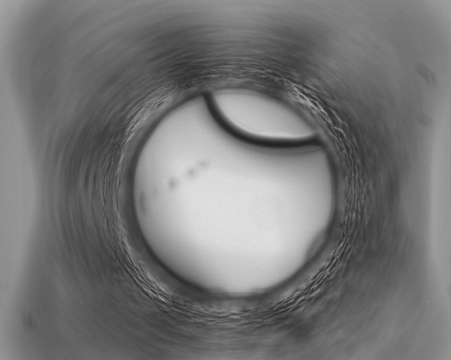 X0000113600049200909181117