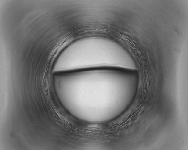 X0000113600050200909181117