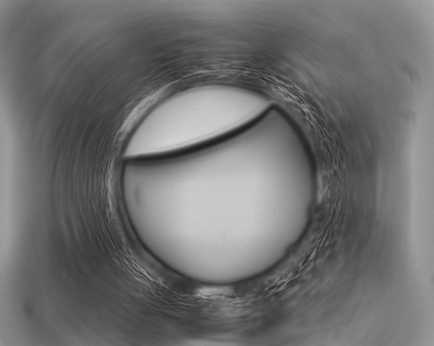 X0000113600051200909181117