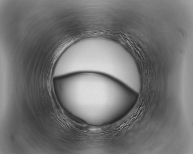 X0000113600052200909181117