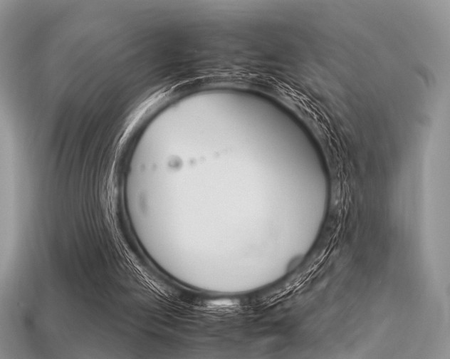 X0000113600053200909181117