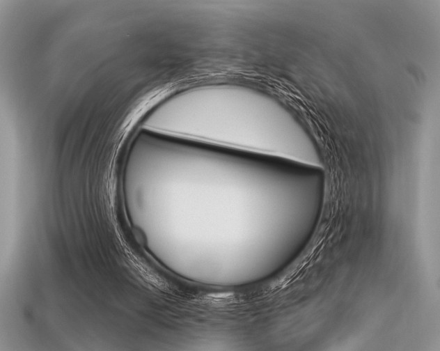 X0000113600054200909181117