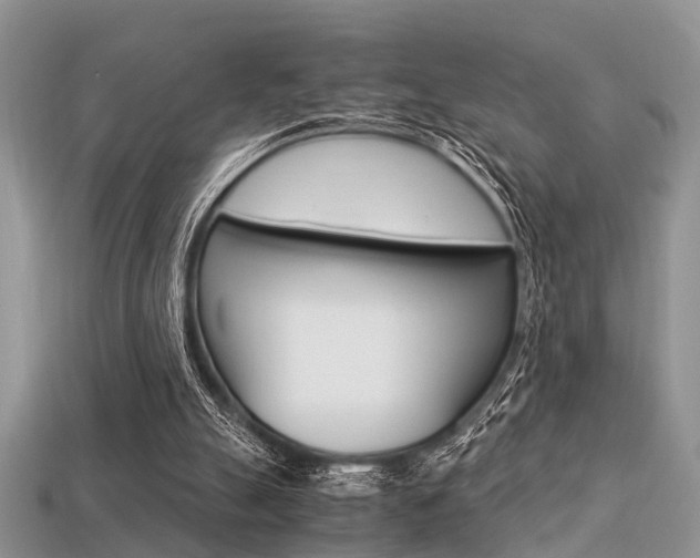 X0000113600055200909181117