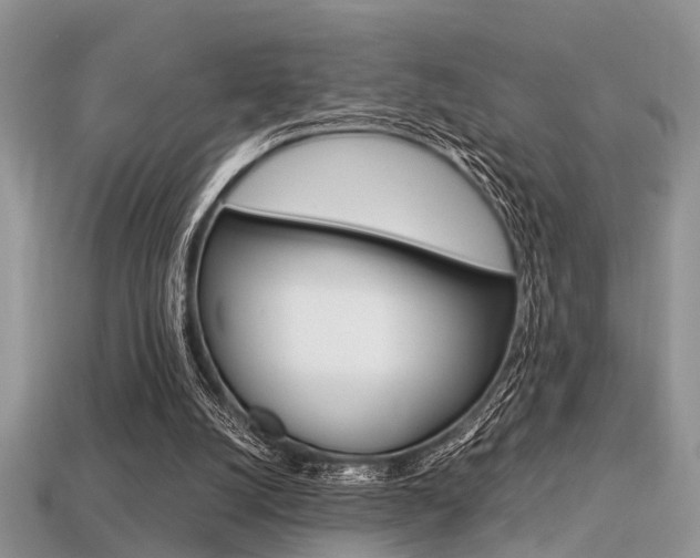 X0000113600056200909181117