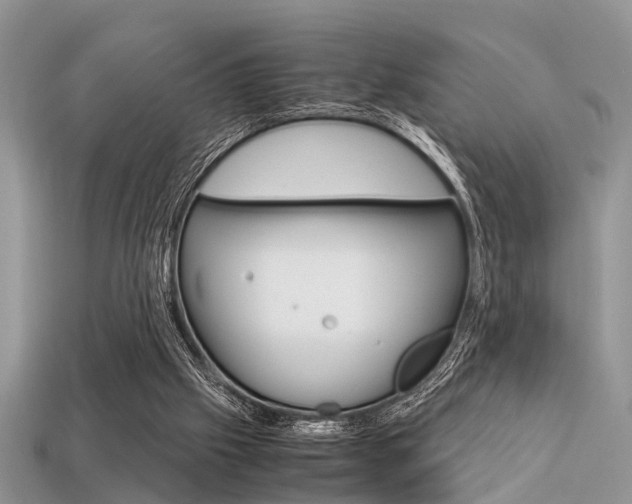 X0000113600057200909181117