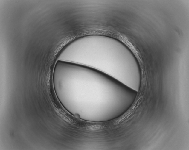 X0000113600058200909181117