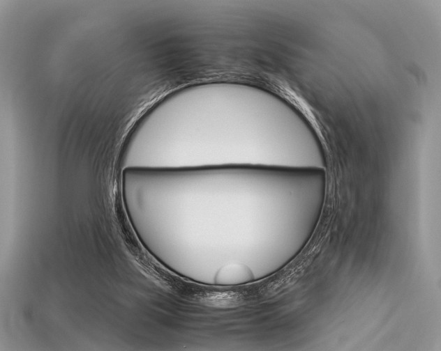 X0000113600059200909181117