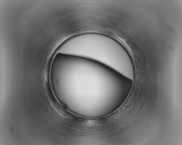 X0000113600060200909181117