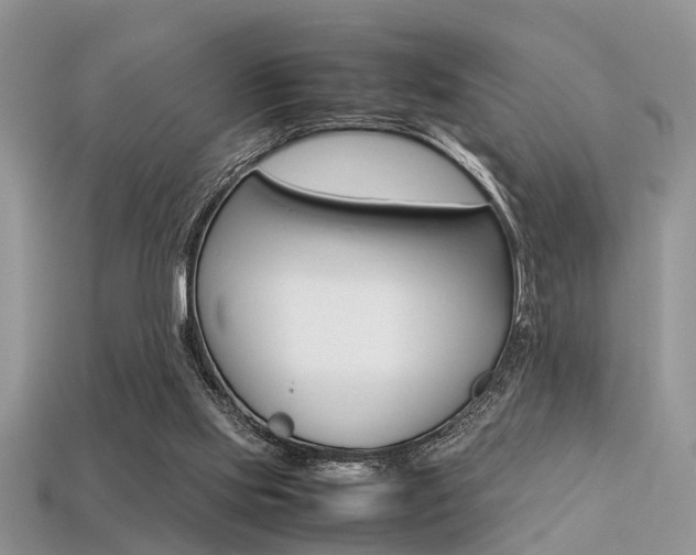 X0000113600061200909181117