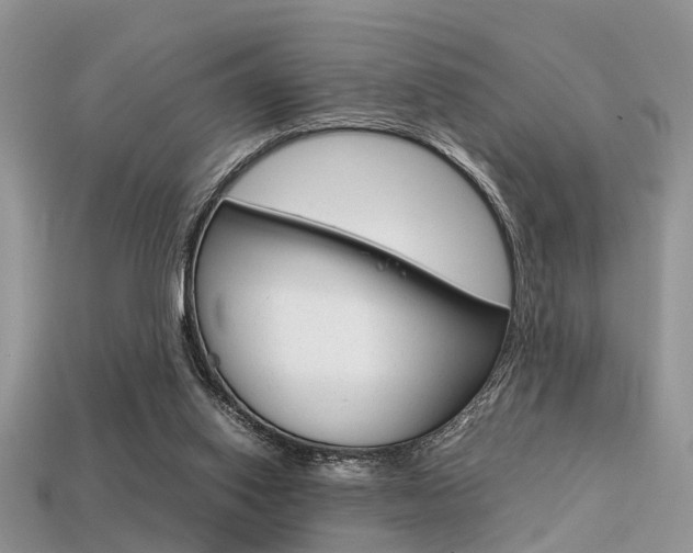 X0000113600062200909181117