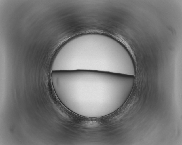 X0000113600063200909181117