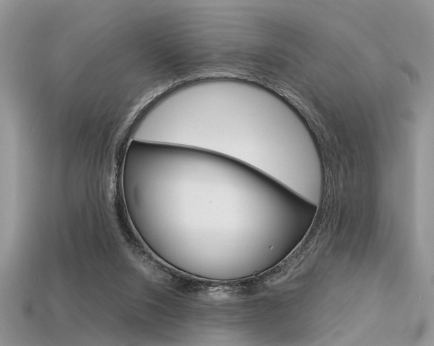 X0000113600064200909181117